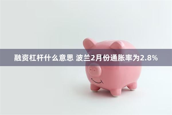 融资杠杆什么意思 波兰2月份通胀率为2.8%