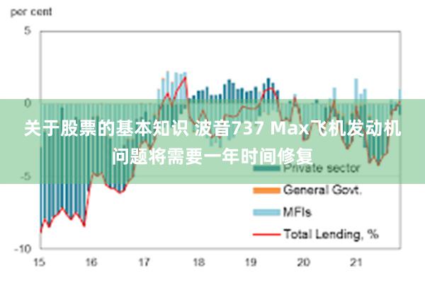 关于股票的基本知识 波音737 Max飞机发动机问题将需要一年时间修复