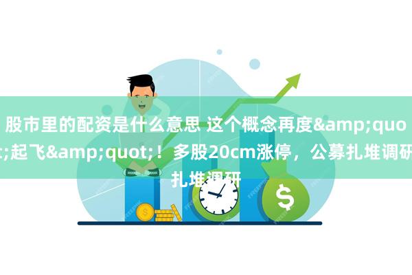 股市里的配资是什么意思 这个概念再度&quot;起飞&quot;！多股20cm涨停，公募扎堆调研