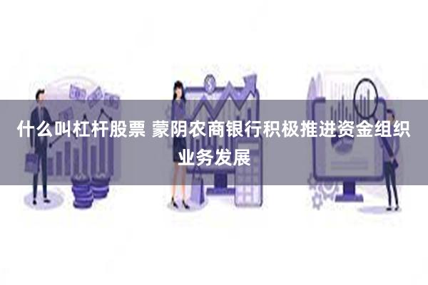 什么叫杠杆股票 蒙阴农商银行积极推进资金组织业务发展