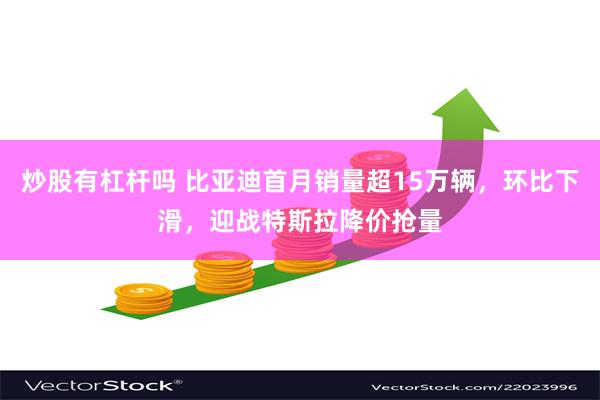 炒股有杠杆吗 比亚迪首月销量超15万辆，环比下滑，迎战特斯拉降价抢量