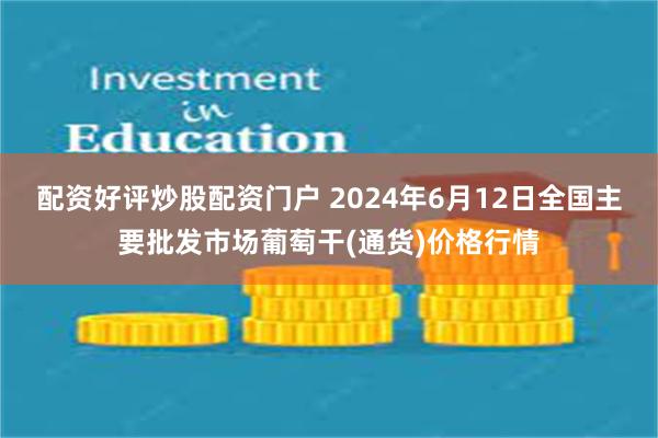 配资好评炒股配资门户 2024年6月12日全国主要批发市场葡萄干(通货)价格行情