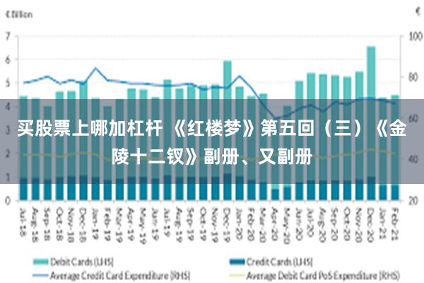 买股票上哪加杠杆 《红楼梦》第五回（三）《金陵十二钗》副册、又副册