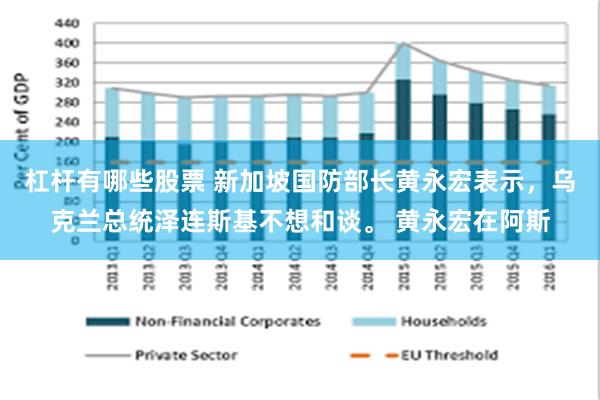 杠杆有哪些股票 新加坡国防部长黄永宏表示，乌克兰总统泽连斯基不想和谈。 黄永宏在阿斯