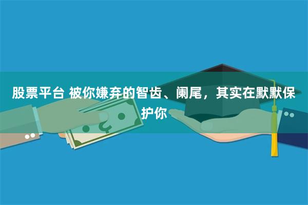 股票平台 被你嫌弃的智齿、阑尾，其实在默默保护你