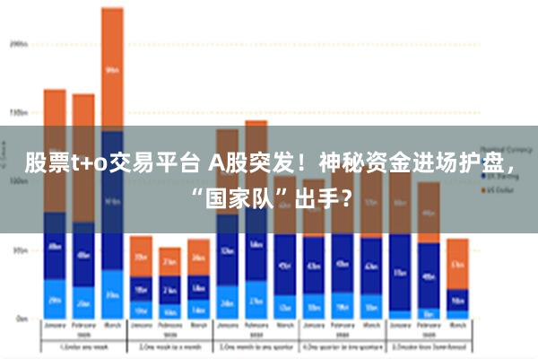 股票t+o交易平台 A股突发！神秘资金进场护盘，“国家队”出手？