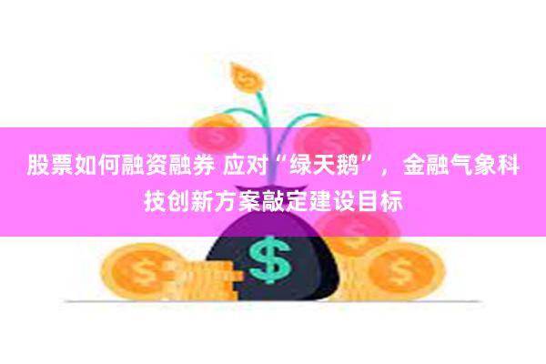 股票如何融资融券 应对“绿天鹅”，金融气象科技创新方案敲定建设目标