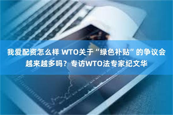 我爱配资怎么样 WTO关于“绿色补贴”的争议会越来越多吗？专访WTO法专家纪文华