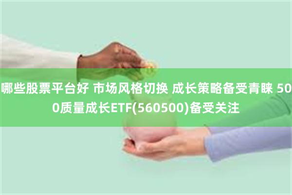 哪些股票平台好 市场风格切换 成长策略备受青睐 500质量成长ETF(560500)备受关注