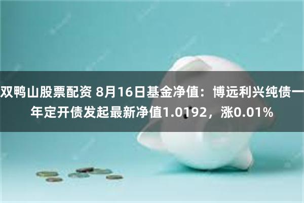 双鸭山股票配资 8月16日基金净值：博远利兴纯债一年定开债发起最新净值1.0192，涨0.01%