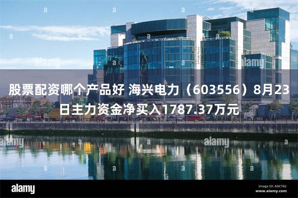 股票配资哪个产品好 海兴电力（603556）8月23日主力资金净买入1787.37万元