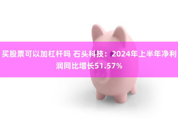 买股票可以加杠杆吗 石头科技：2024年上半年净利润同比增长51.57%