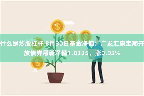 什么是炒股杠杆 8月30日基金净值：广发汇康定期开放债券最新净值1.0335，涨0.02%