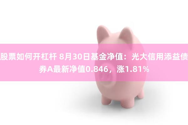 股票如何开杠杆 8月30日基金净值：光大信用添益债券A最新净值0.846，涨1.81%