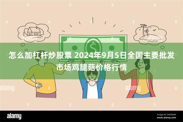 怎么加杠杆炒股票 2024年9月5日全国主要批发市场鸡腿菇价格行情