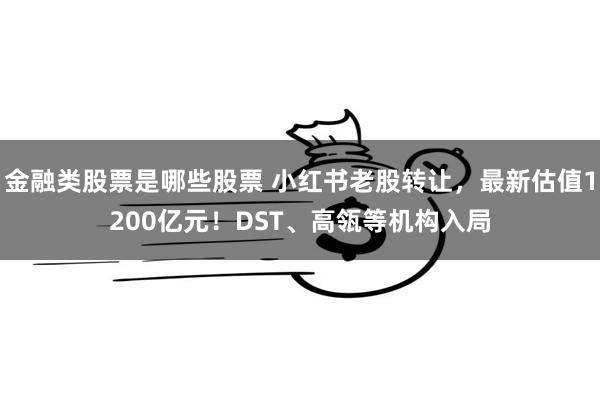 金融类股票是哪些股票 小红书老股转让，最新估值1200亿元！DST、高瓴等机构入局