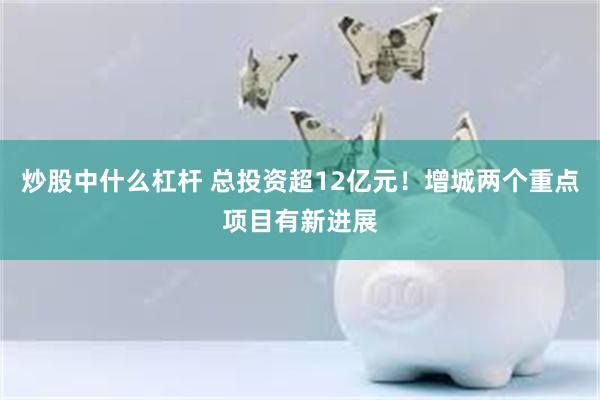 炒股中什么杠杆 总投资超12亿元！增城两个重点项目有新进展