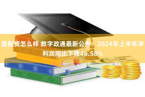 爱配资怎么样 数字政通最新公告：2024年上半年净利润同比下降48.58%