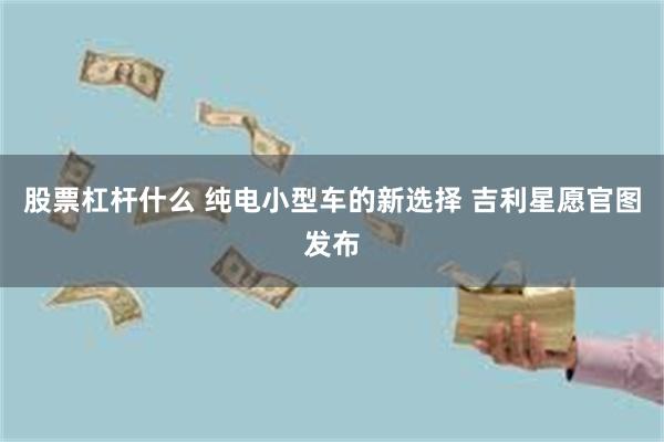 股票杠杆什么 纯电小型车的新选择 吉利星愿官图发布