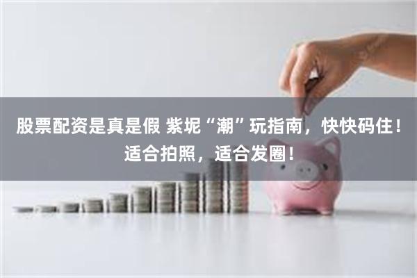 股票配资是真是假 紫坭“潮”玩指南，快快码住！适合拍照，适合发圈！