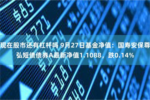 现在股市还有杠杆吗 9月27日基金净值：国寿安保尊弘短债债券A最新净值1.1088，跌0.14%