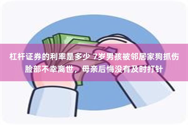 杠杆证券的利率是多少 7岁男孩被邻居家狗抓伤脸部不幸离世，母亲后悔没有及时打针