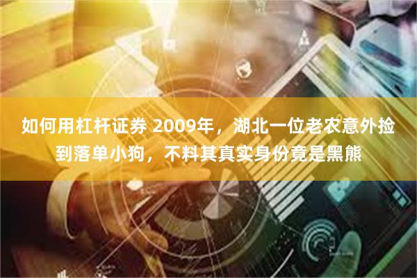 如何用杠杆证券 2009年，湖北一位老农意外捡到落单小狗，不料其真实身份竟是黑熊