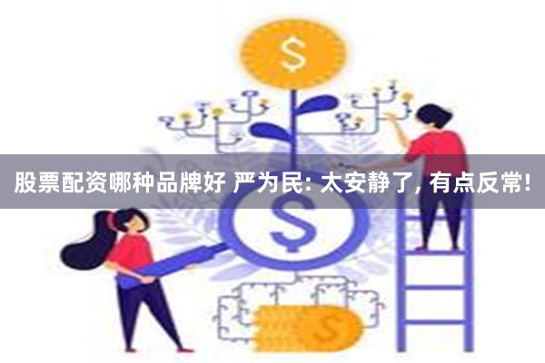 股票配资哪种品牌好 严为民: 太安静了, 有点反常!