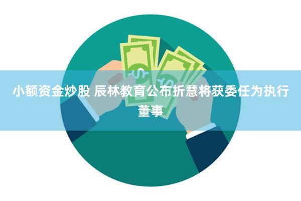 小额资金炒股 辰林教育公布折慧将获委任为执行董事