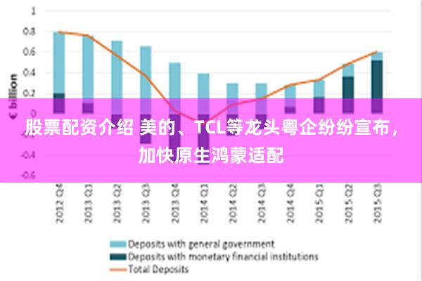 股票配资介绍 美的、TCL等龙头粤企纷纷宣布，加快原生鸿蒙适配