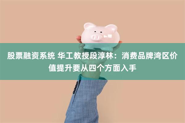 股票融资系统 华工教授段淳林：消费品牌湾区价值提升要从四个方面入手