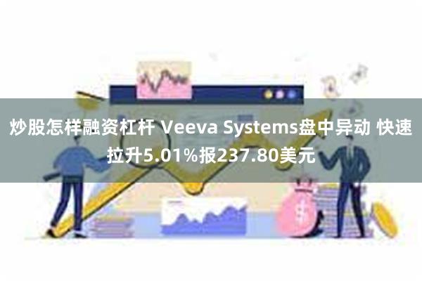 炒股怎样融资杠杆 Veeva Systems盘中异动 快速拉升5.01%报237.80美元