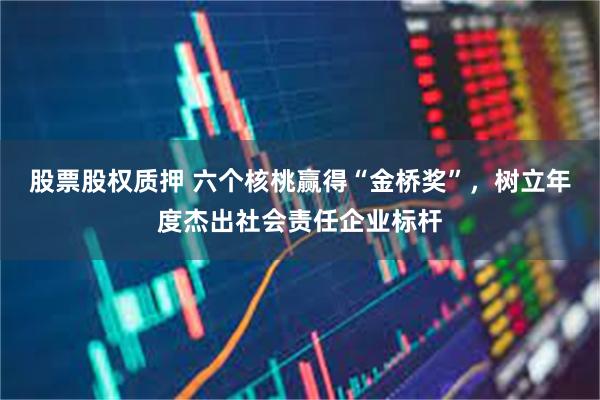 股票股权质押 六个核桃赢得“金桥奖”，树立年度杰出社会责任企业标杆