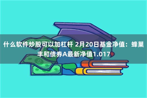 什么软件炒股可以加杠杆 2月20日基金净值：蜂巢丰和债券A最新净值1.017