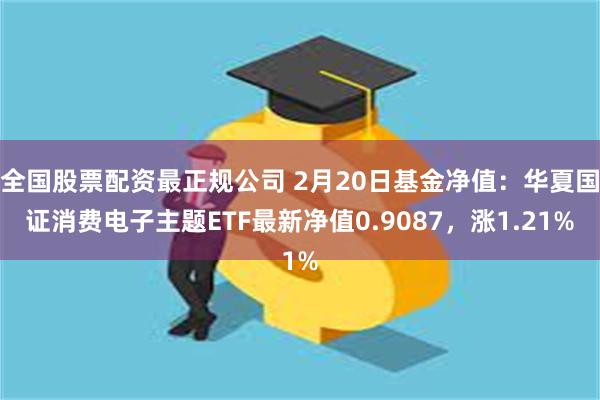 全国股票配资最正规公司 2月20日基金净值：华夏国证消费电子主题ETF最新净值0.9087，涨1.21%