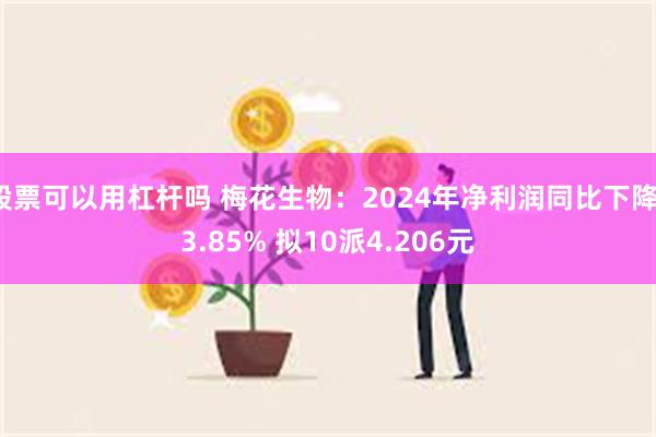 股票可以用杠杆吗 梅花生物：2024年净利润同比下降13.85% 拟10派4.206元