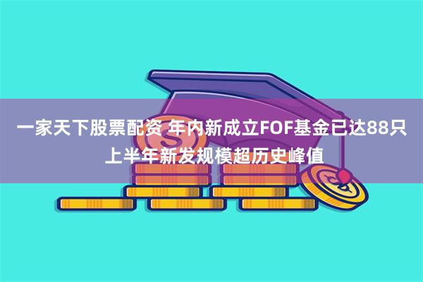 一家天下股票配资 年内新成立FOF基金已达88只 上半年新发规模超历史峰值